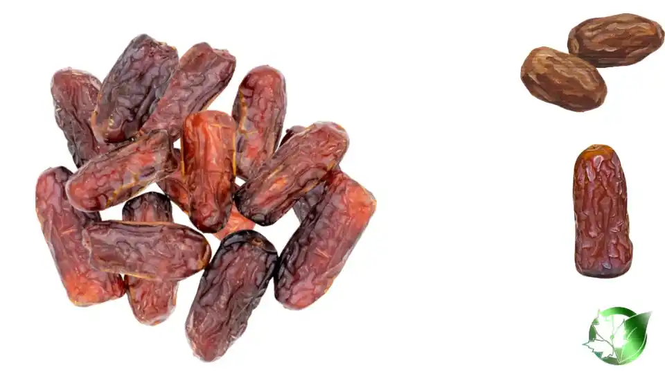 Commercial presentation of Piarom Dates for wholesale product evaluation and buyer review.